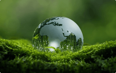 DeepSeek宣布新版R1模型:实测编程能力达国际一线水平